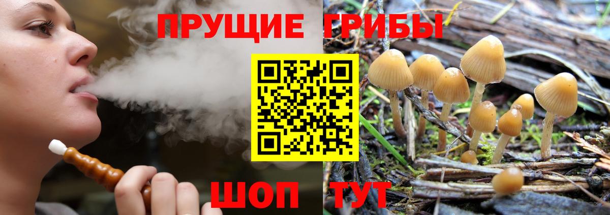 Калининград  как найти закладки  Вход с VPN  Галлюциногенные грибы прущие грибы 